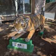 ヒメ日記 2026/03/09 14:44 投稿 まいか 元町奥さま