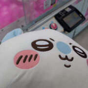 ヒメ日記 2026/03/17 20:36 投稿 もこ 兵庫加東小野ちゃんこ