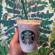 ヒメ日記 2026/02/03 19:43 投稿 ましろ 栃木小山ちゃんこ