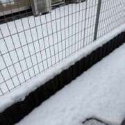 ヒメ日記 2026/03/10 11:08 投稿 ましろ 栃木小山ちゃんこ