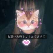 ヒメ日記 2026/03/28 07:09 投稿 ましろ 栃木小山ちゃんこ