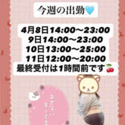 ヒメ日記 2026/04/06 16:00 投稿 ましろ 栃木小山ちゃんこ