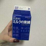 ヒメ日記 2026/04/09 08:00 投稿 ましろ 栃木小山ちゃんこ
