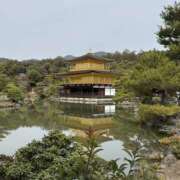 ヒメ日記 2026/04/09 17:30 投稿 ましろ 栃木小山ちゃんこ