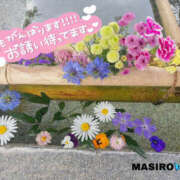 ヒメ日記 2026/05/21 07:50 投稿 ましろ 栃木小山ちゃんこ
