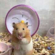 ヒメ日記 2026/03/05 01:28 投稿 曹長てぃな 鬼イカセてくれないドス◯ベお姉さん