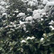 ヒメ日記 2026/02/08 14:20 投稿 ちあき 熟女の風俗最終章 町田店