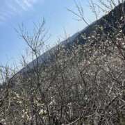 ヒメ日記 2026/03/07 09:42 投稿 ゆり スピードエコ梅田店