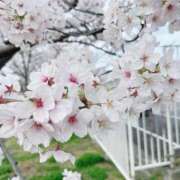 ゆり 本日も♡ スピードエコ梅田店