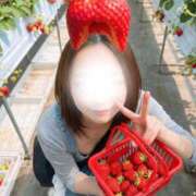 ヒメ日記 2026/04/06 06:18 投稿 なお 池袋人妻城