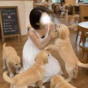 ヒメ日記 2026/06/04 11:03 投稿 なお 池袋人妻城