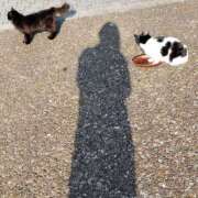 ヒメ日記 2026/02/08 14:10 投稿 大原れいこ クラブレア南大阪