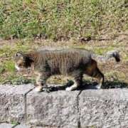 ヒメ日記 2026/02/24 23:50 投稿 大原れいこ クラブレア南大阪