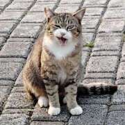 ヒメ日記 2026/03/29 12:10 投稿 大原れいこ クラブレア南大阪