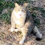 ヒメ日記 2026/04/07 21:10 投稿 大原れいこ クラブレア南大阪