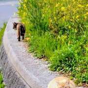 ヒメ日記 2026/05/04 16:10 投稿 大原れいこ クラブレア南大阪
