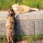 ヒメ日記 2026/05/06 13:10 投稿 大原れいこ クラブレア南大阪