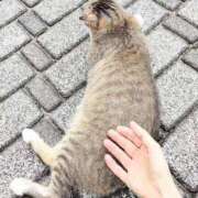 ヒメ日記 2026/07/11 13:20 投稿 大原れいこ クラブレア南大阪