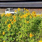 ヒメ日記 2026/08/02 13:10 投稿 大原れいこ クラブレア南大阪