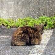 ヒメ日記 2026/09/22 13:10 投稿 大原れいこ クラブレア南大阪