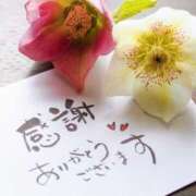 ヒメ日記 2026/04/13 19:41 投稿 篠原りょうこ クラブレア南大阪