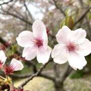 椎名りんご ありがとうᕷ* クラブレア南大阪