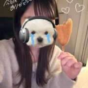 ヒメ日記 2026/01/27 15:41 投稿 花乃【カノ】 ピンクコレクション大阪