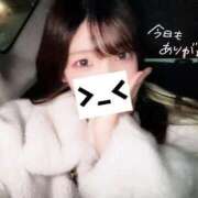 ヒメ日記 2026/02/09 01:51 投稿 花乃【カノ】 ピンクコレクション大阪