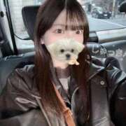 ヒメ日記 2026/03/19 15:21 投稿 花乃【カノ】 ピンクコレクション大阪