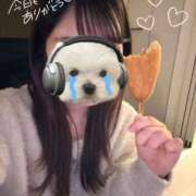 ヒメ日記 2026/01/27 15:42 投稿 花乃【カノ】 ピンクコレクション大阪キタ店