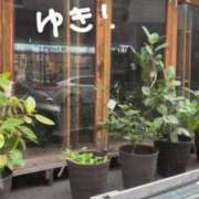 ヒメ日記 2026/01/30 13:39 投稿 花乃【カノ】 ピンクコレクション大阪キタ店