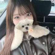 ヒメ日記 2026/02/20 15:19 投稿 花乃【カノ】 ピンクコレクション大阪キタ店