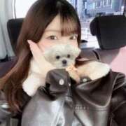 ヒメ日記 2026/02/21 15:38 投稿 花乃【カノ】 ピンクコレクション大阪キタ店