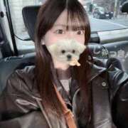 ヒメ日記 2026/03/19 15:09 投稿 花乃【カノ】 ピンクコレクション大阪キタ店