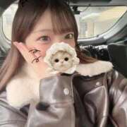 ヒメ日記 2026/02/18 15:26 投稿 花乃【カノ】 ピンクコレクション尼崎店