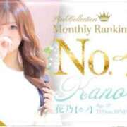 ヒメ日記 2026/02/21 21:42 投稿 花乃【カノ】 ピンクコレクション尼崎店