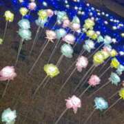 ヒメ日記 2026/03/09 17:19 投稿 みさき(魅惑の美女) おクンニ天国～Rising Group～