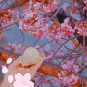 ヒメ日記 2026/02/16 10:01 投稿 りな with SPA (ウィズスパ)