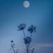 ヒメ日記 2026/01/21 10:42 投稿 とうか　麗しい高貴な美女 ROYAL FACE