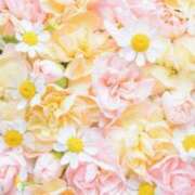 ヒメ日記 2026/03/30 13:24 投稿 天宮 乃々香 CASA BIANCA（カーサ・ビアンカ）