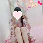 ヒメ日記 2026/02/15 11:57 投稿 かぐや いざ候 本館