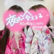 ヒメ日記 2026/04/07 18:17 投稿 かぐや いざ候 本館