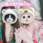 ヒメ日記 2026/07/08 18:13 投稿 かぐや Club label