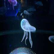 ヒメ日記 2026/04/12 10:27 投稿 しずる モアグループ大宮人妻花壇