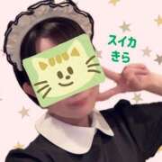 ヒメ日記 2026/01/14 16:42 投稿 きら スイカ