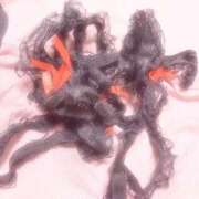 ヒメ日記 2026/01/31 19:20 投稿 柚木にこ 松戸人妻花壇