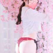 ヒメ日記 2026/03/17 15:31 投稿 すず Versailles