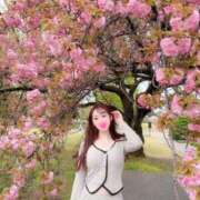 ヒメ日記 2026/04/10 15:02 投稿 すず Versailles