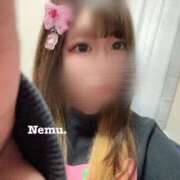 ヒメ日記 2026/03/19 11:47 投稿 ねむ 群馬伊勢崎ちゃんこ