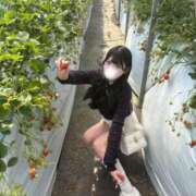 ヒメ日記 2026/03/19 10:16 投稿 まどか CUTE